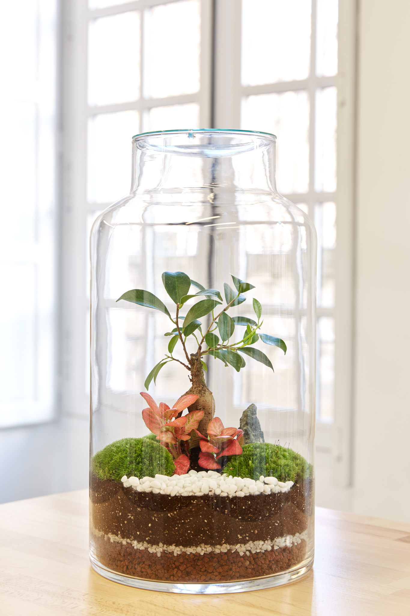 Kokedama Création végétale japonaise - Escapade Artisanale dans le