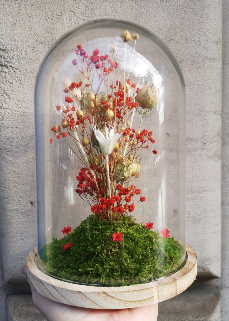 Cloche fleurs séchées rouge - Modèle S - ESCAPADE VEGETALE