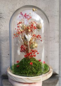 Fleurs séchées sous cloche de verre